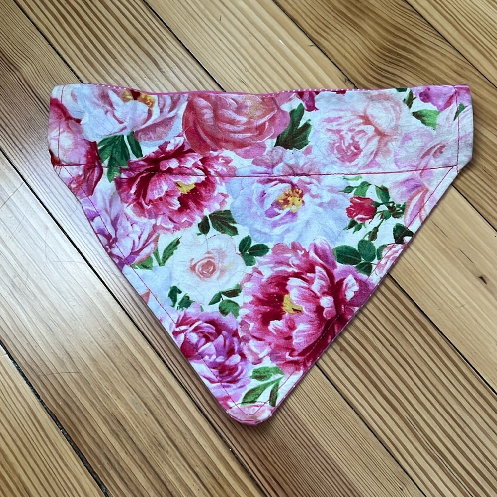 Reversible OTC Dog Bandana
